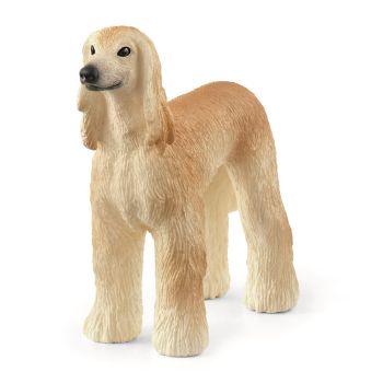SHL13938 - Greyhound