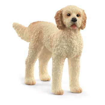 SHL13939 - Goldendoodle hond