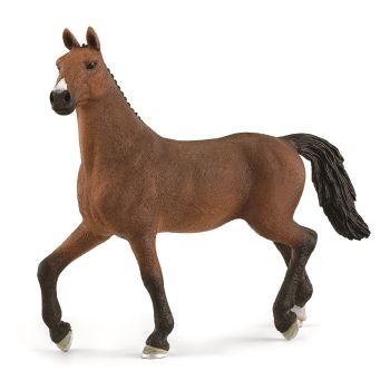 SHL13945 - Oldenburger merrie