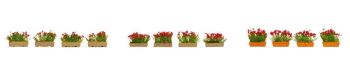 NOC14010 - Bloembakken; rood