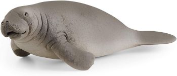SHL14839 - Manatee