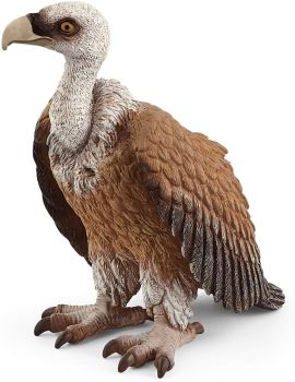 SHL14847 - Gier