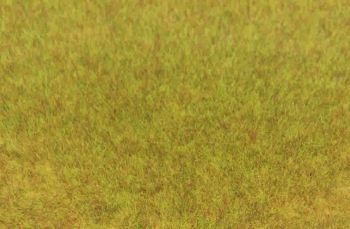 HEK3371 - Zak 75 g wild herfstgras 5-6 mm