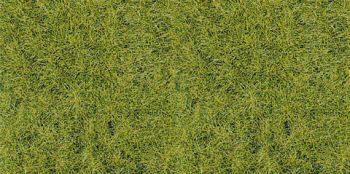 HEK3368 - 75 g zakje wild gras groen bos 5-6 mm