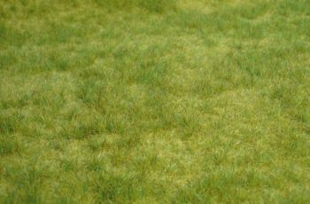 HEK1841 - Voorjaars wild gras - 45x17 cm