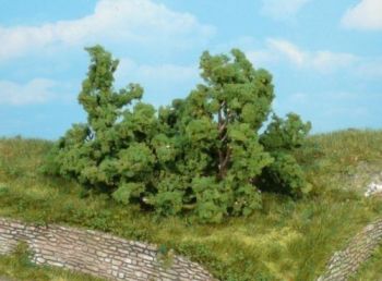 HEK1179 - 5 Struiken en heesters 6-8 cm