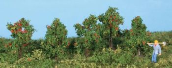 HEK19131 - 5 appelbomen 4 cm