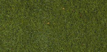 HEK3365 - Zak van 50 g medium groene flock 2-3 mm