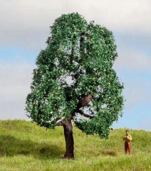 NOC20111 - Eikenhout 10 cm