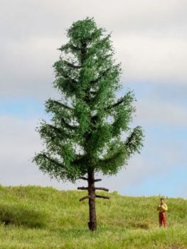 NOC20195 - Hoogstammige spar, 14 cm