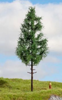 NOC20196 - Hoogstammige spar, 21 cm