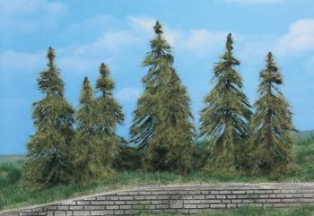 HEK2174 - 7 Lariksbomen 7-11 cm