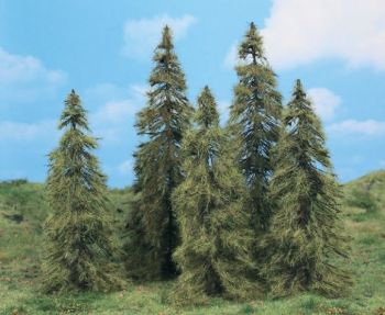 HEK2176 - 5 Lariksbomen 14-18 cm