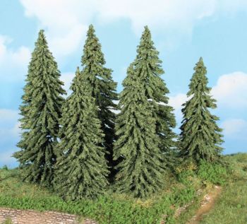 HEK21801 - 6 Verweerde sparren 14-18 cm