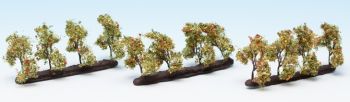 NOC21532 - 12 Bomen planten met appels