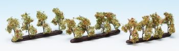 NOC21537 - 24 Bomen planten met appels