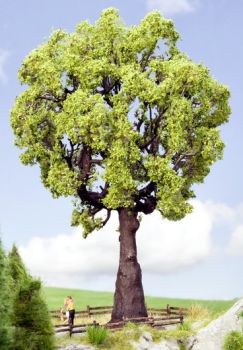 NOC21761 - Eiken 19cm