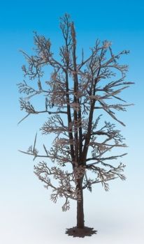 NOC22020 - Boomstructuur - Basswood 18.5 cm