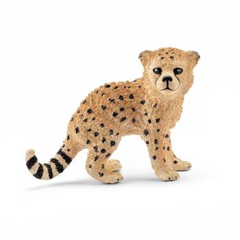 SHL14747 - baby cheeta