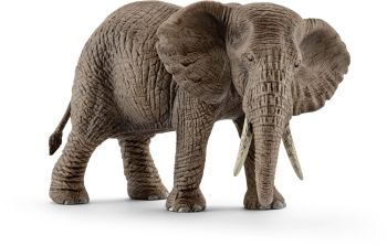 SHL14761 - vrouwelijke Afrikaanse olifant