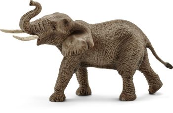 SHL14762 - Mannelijke Afrikaanse olifant