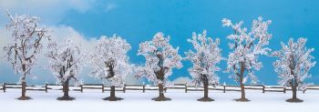 NOC25075 - 7 winterbomen 8 tot 10 cm