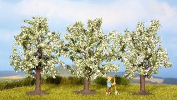 NOC25111 - 3 Fruitbomen. witte bloemen 8 cm