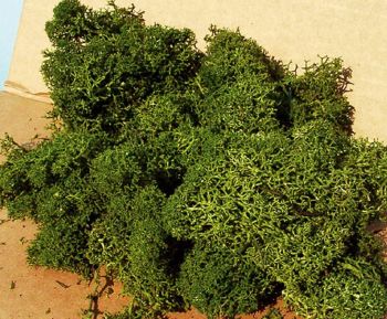 HEK3218 - Middelgroene korstmos 30 g