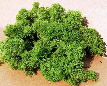 HEK3219 - Lichtgroen korstmos 75 g