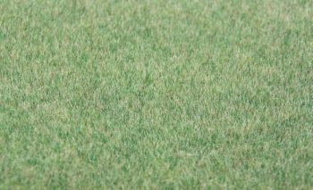 HEK33542 - Donkergroen gras stroomden 75 g. 5-6 mm