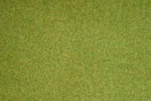 NOC00260 - Lente grasmat 120x60cm