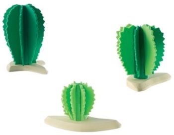 BUL81087 - Groep Cactussen