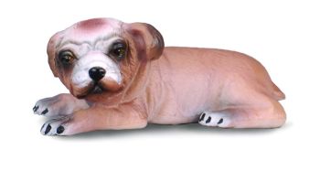 COLL88180 - Engelse Bulldog-puppy liggend