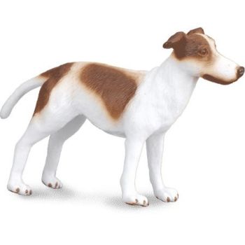 COLL88188 - Windhondpuppy