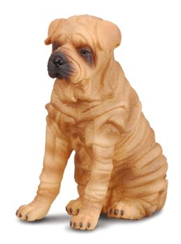 COLL88193 - Sharpei hond