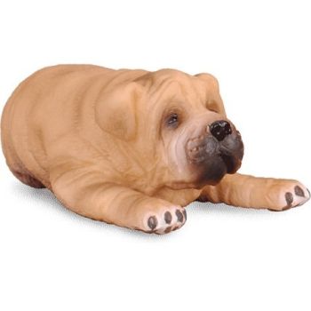 COLL88194 - Sharpei-puppy liggend