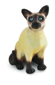 COLL88331 - Siamese kattenoppas