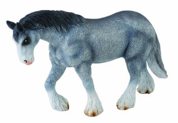 COLL88389 - Clydesdale paard