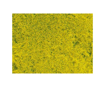 HEK1593 - Koolzaad bloemenweide grastapijt 28 x 14 cm