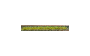 HEK1810 - Pak van 10 lentegrasstroken 10 cm