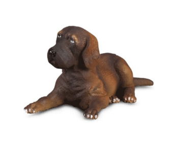 COLL88065 - Liggende Duitse dog pup