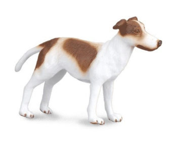 COLL88188 - Windhondpuppy