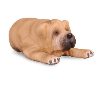 COLL88194 - Sharpei-puppy liggend
