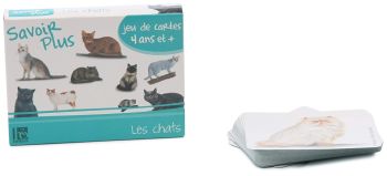 HEN21300193 - Spel van kennis-Katten