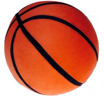 LPAI54662 - Basketbal - Maat 7 - rubber