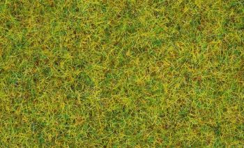 NOC08310 - Zomerweidegras - 20 g - 2;5 mm