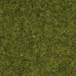 NOC08312 - Weidegras - 20 g - 2;5 mm
