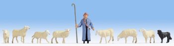 NOC15748 - Schapen met herder
