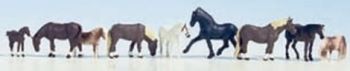 NOC15761 - Diverse paarden