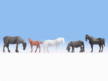 NOC18215 - 5 paarden